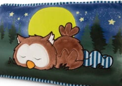 Nici 47879 Kissen Eule Oscar Schlafend Glow In The Dark 43x25cm Plüsch Owlsons -TONIES Geschäft 47879 04 ZA Frei 2048x1451
